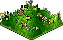 Petal Patch
