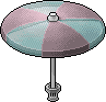 Pink Blossom Parasol