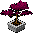 Emberleaf Bonsai