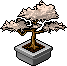 Moonleaf Bonsai