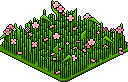 Sakura Patch