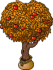Sacked Apple Tree (Yellow)