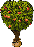 Sacked Peach Tree